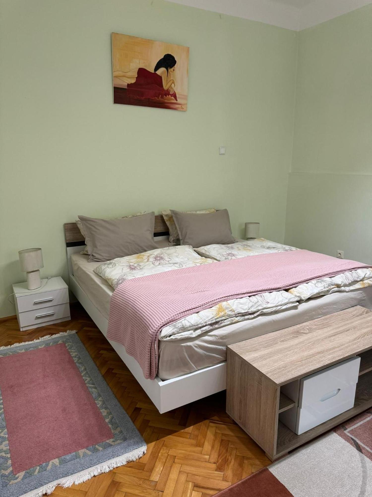 Apartament Victoria Timisoara Ngoại thất bức ảnh