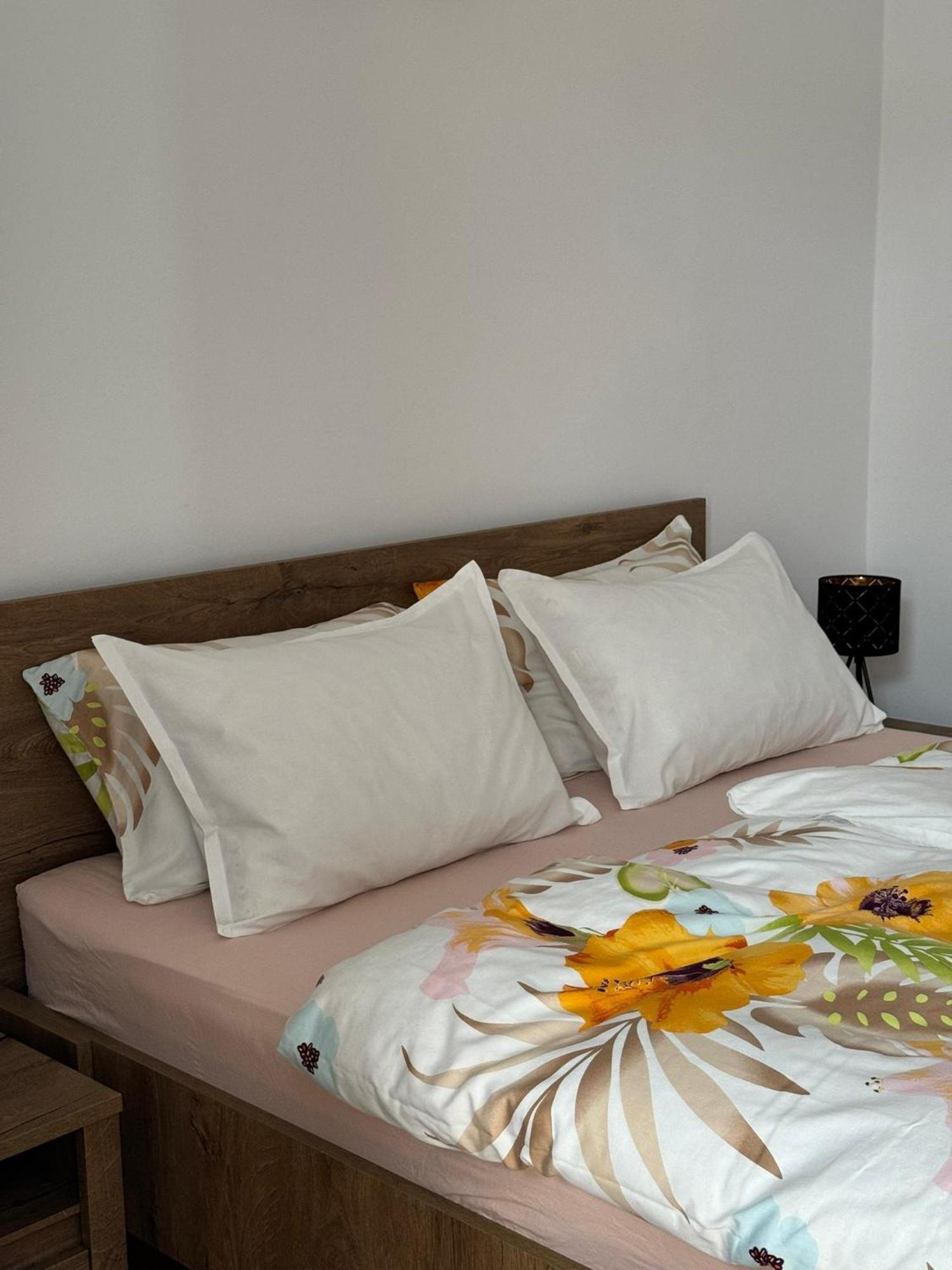 Apartament Victoria Timisoara Ngoại thất bức ảnh
