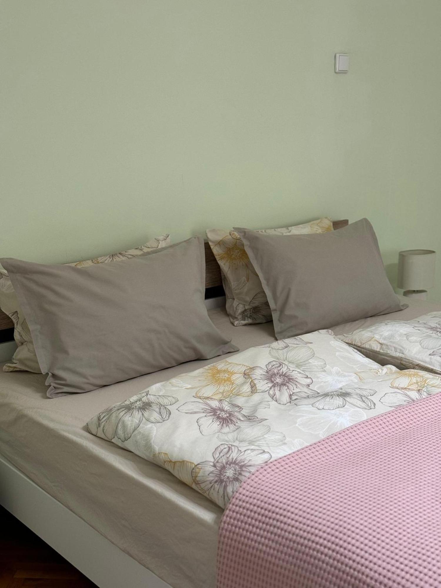 Apartament Victoria Timisoara Ngoại thất bức ảnh